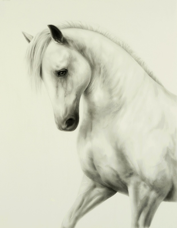 marie donato equestrian drawing